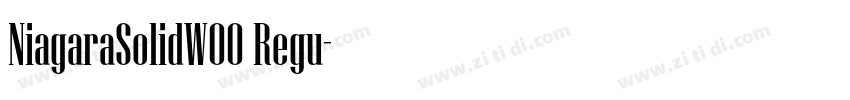NiagaraSolidW00 Regu字体转换